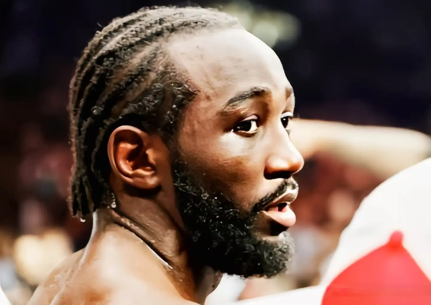 磅纵横无敌 磅纵横无敌