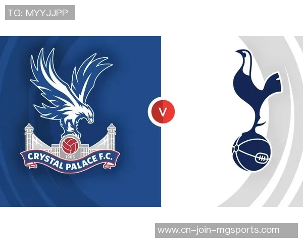 2019年水晶宫对阵托特纳姆热刺精彩回顾与赛后分析